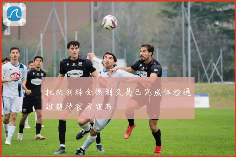 托纳利转会热刺交易已完成体检通过静待官方宣布